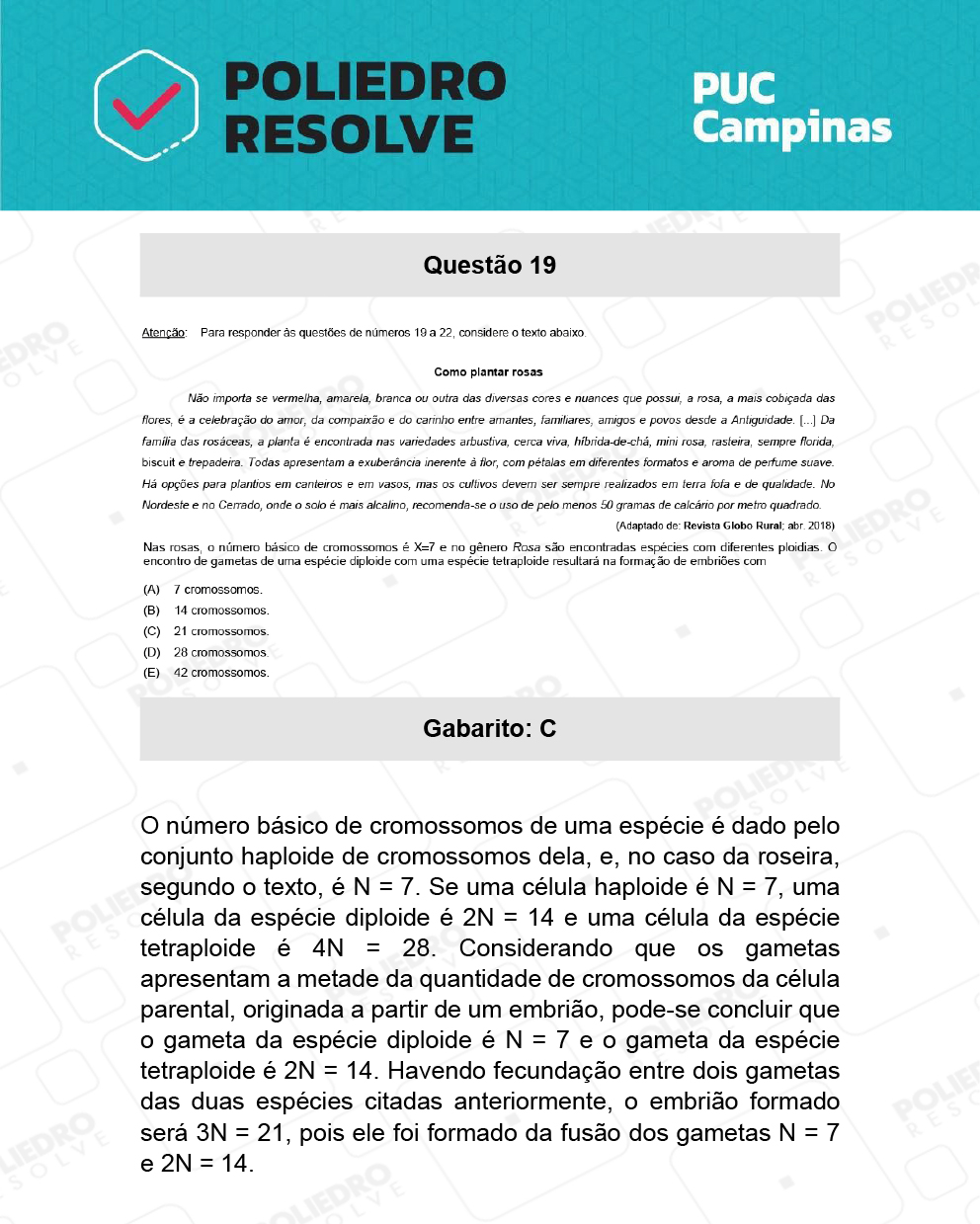 Questão 19 - Demais cursos - PUC-Campinas 2022