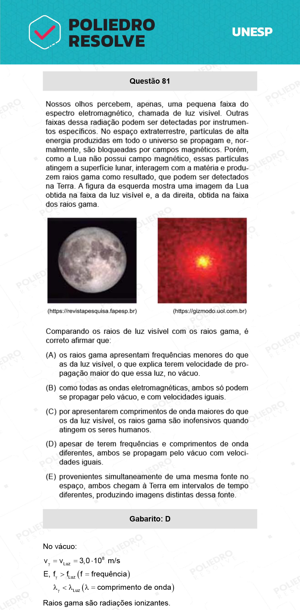 Questão 81 - 1ª Fase - Ext / Hum - UNESP 2022