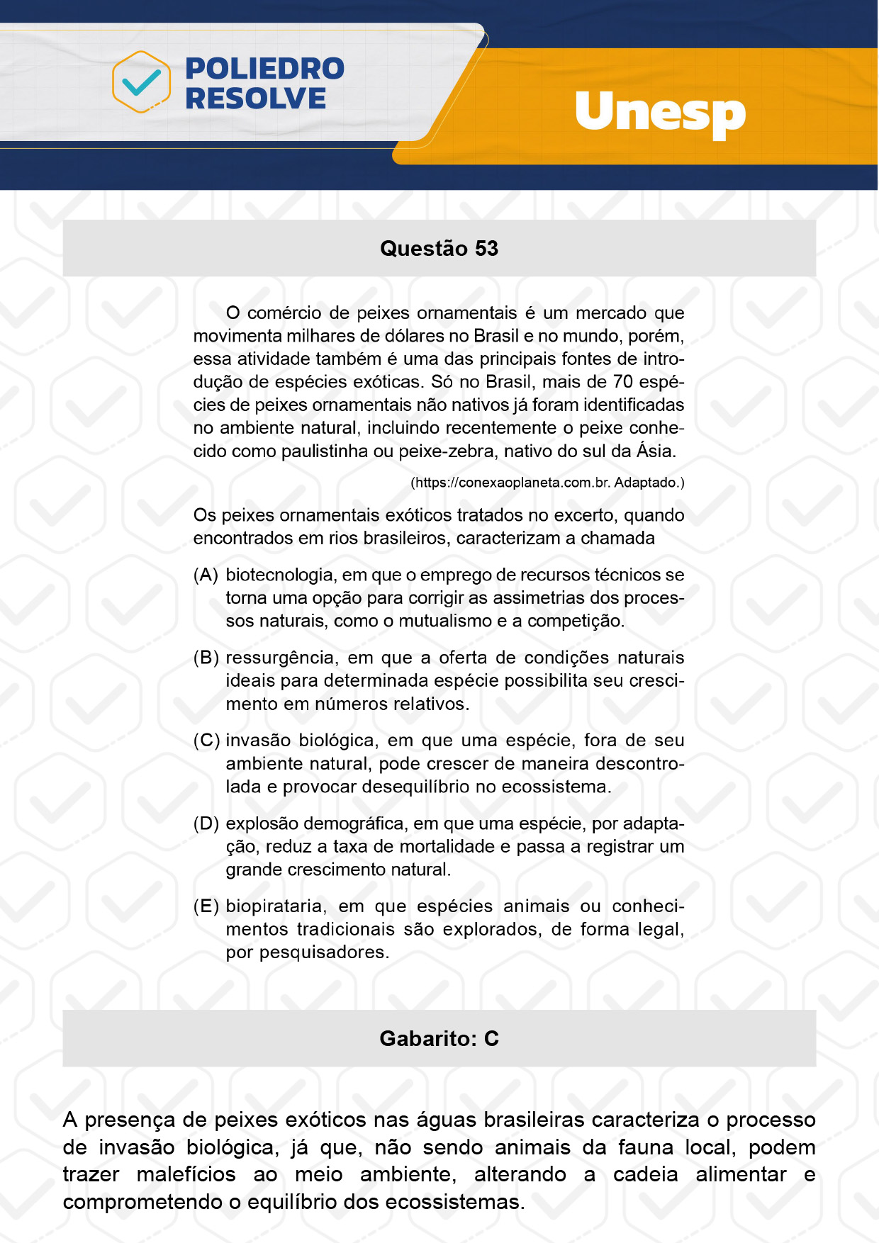 Questão 53 - 1ª Fase - UNESP 2024