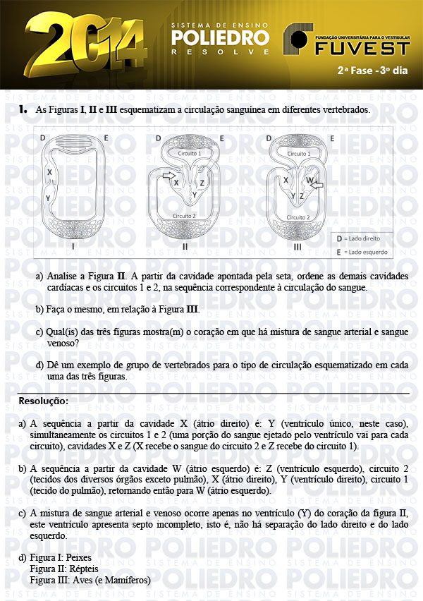 Dissertação 1 - 2ª Fase 3º Dia - FUVEST 2014