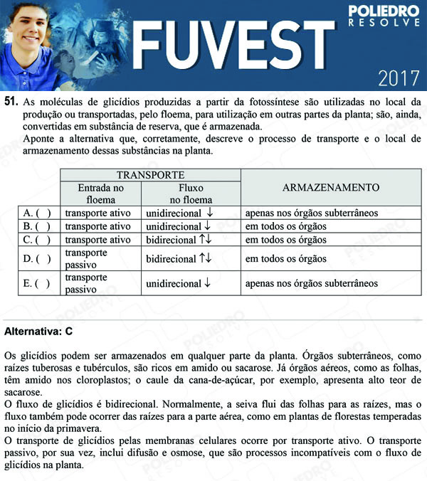 Questão 51 - 1ª Fase - FUVEST 2017