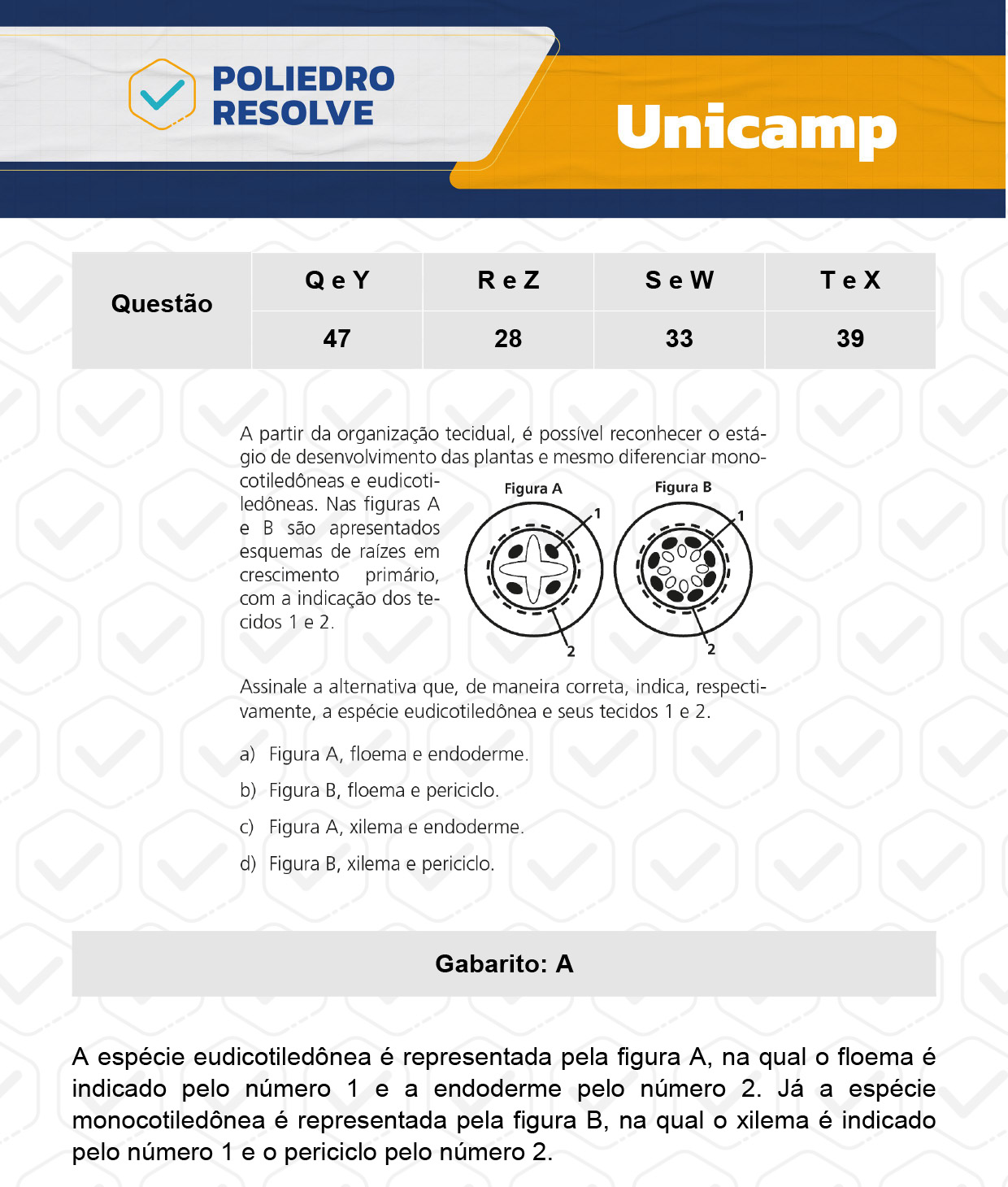 Questão 47 - 1ª Fase - 1º Dia - Q e Y - UNICAMP 2024