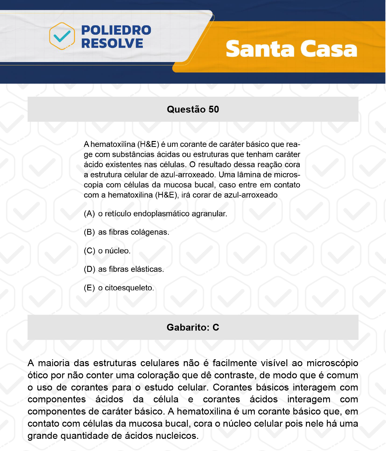 Questão 50 - 1º Dia - SANTA CASA 2024