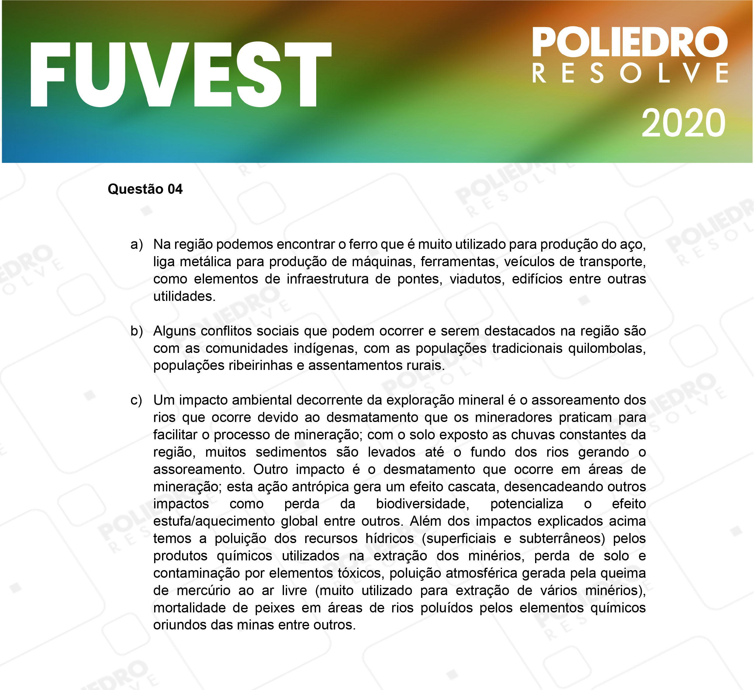 Dissertação 4 - 2ª Fase - 2º Dia - FUVEST 2020