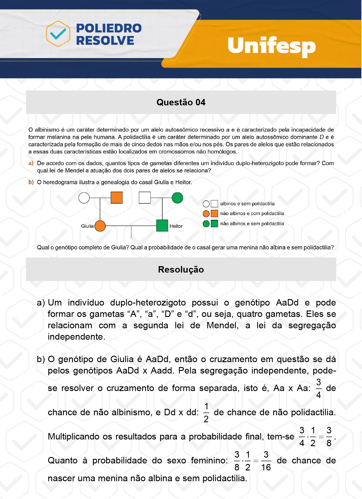 Dissertação 4 - 2º Dia - Reaplicação - UNIFESP 2024