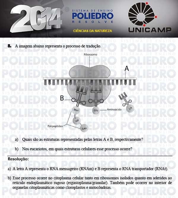 Dissertação 8 - 2ª Fase - UNICAMP 2014