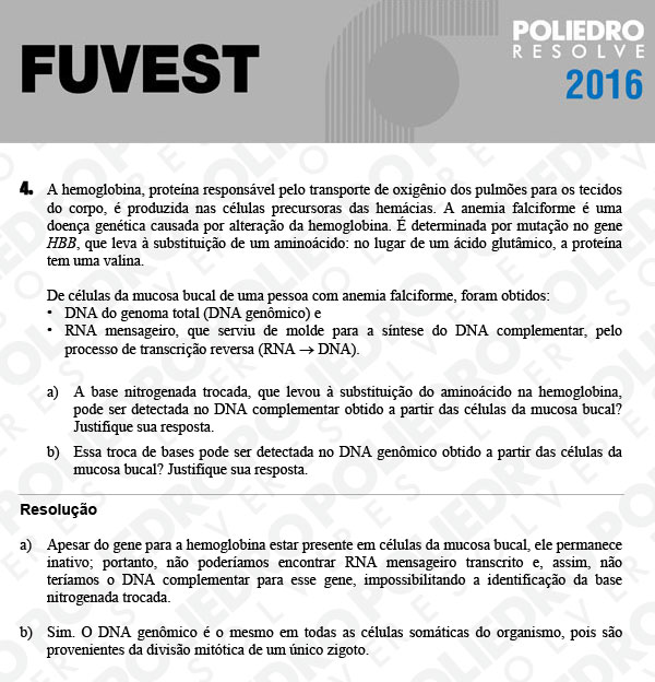 Dissertação 4 - 2ª Fase - 3º Dia - FUVEST 2016