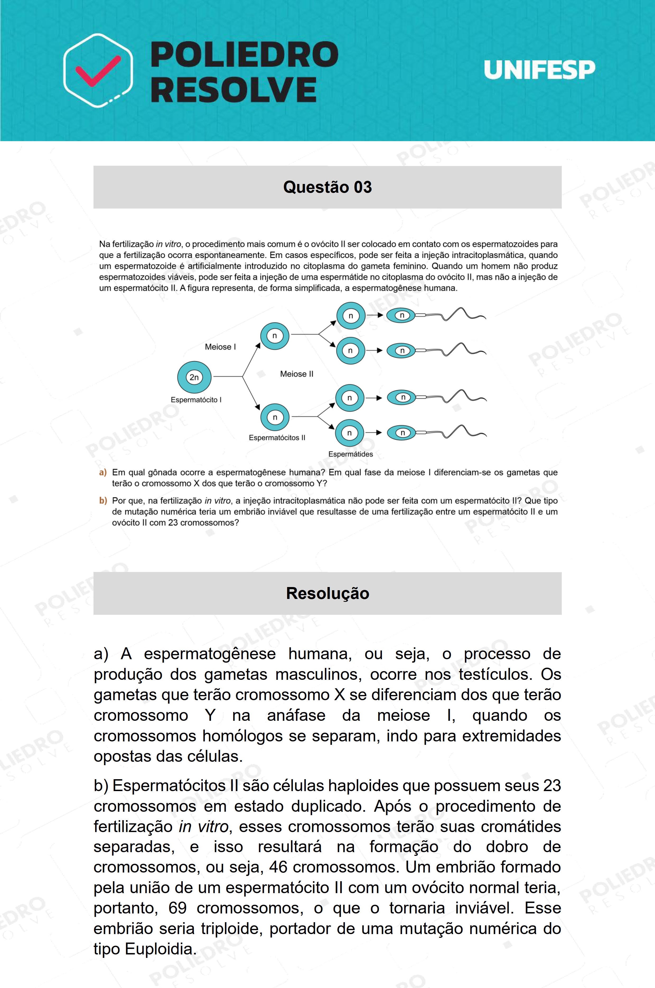 Dissertação 3 - 2º Dia - 21/01/22 - UNIFESP 2022