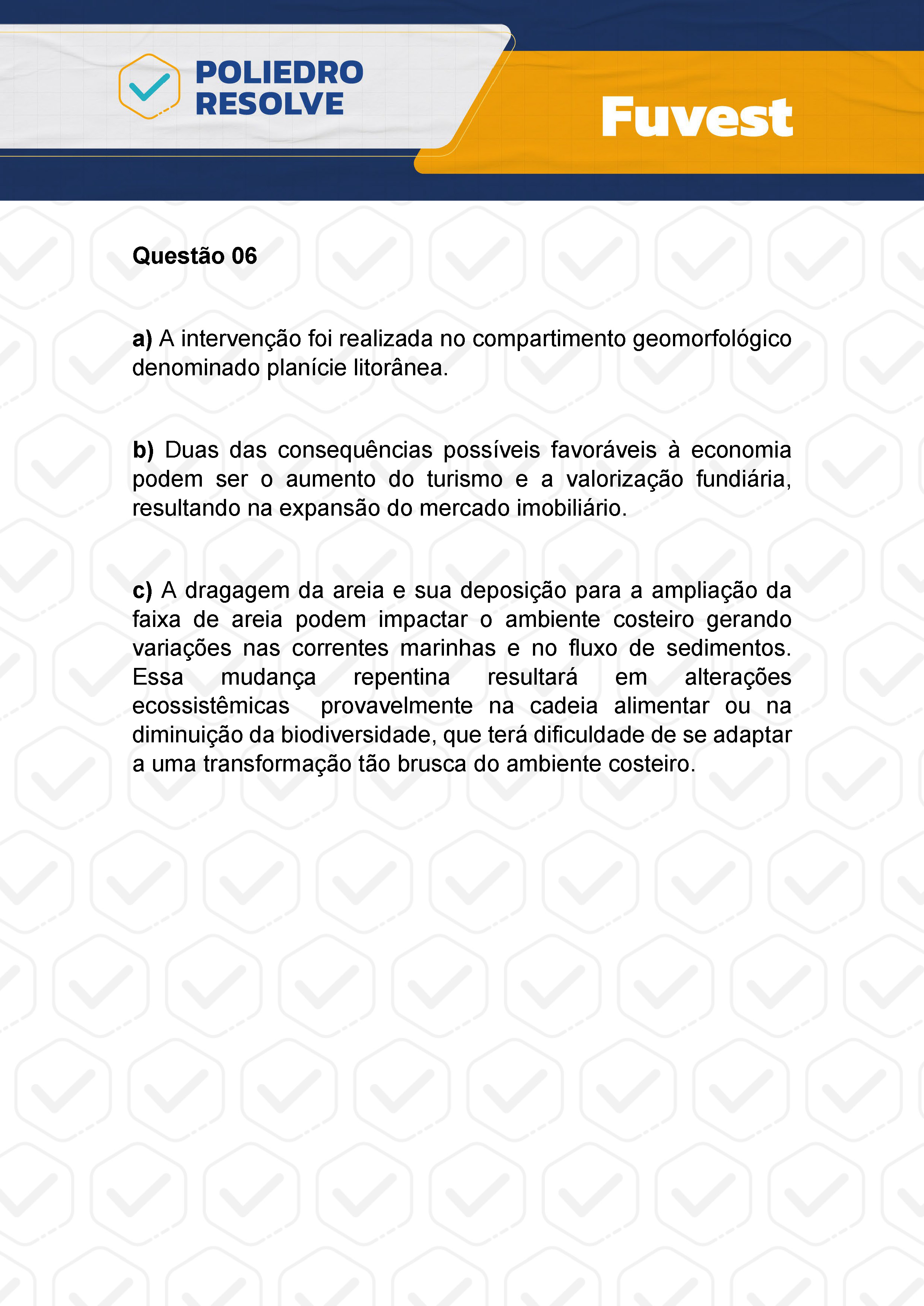 Dissertação 6 - 2ª Fase - 2º Dia - FUVEST 2024