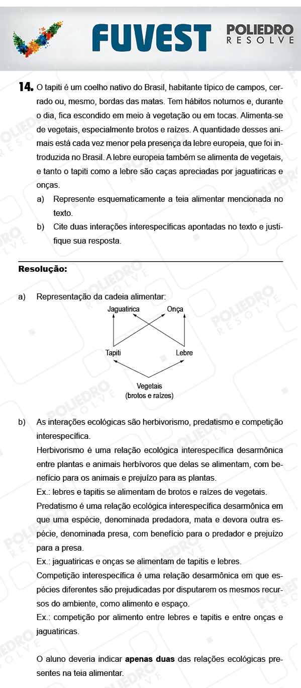 Dissertação 14 - 2ª Fase - 2º Dia - FUVEST 2018