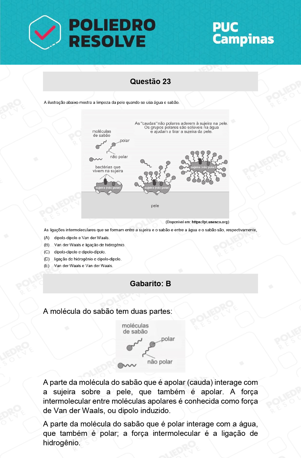 Questão 23 - Demais cursos - PUC-Campinas 2022