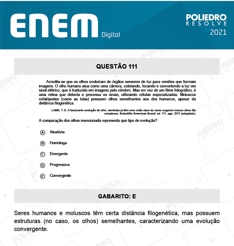 Questão 111 - 2º Dia - Prova Cinza - ENEM DIGITAL 2020