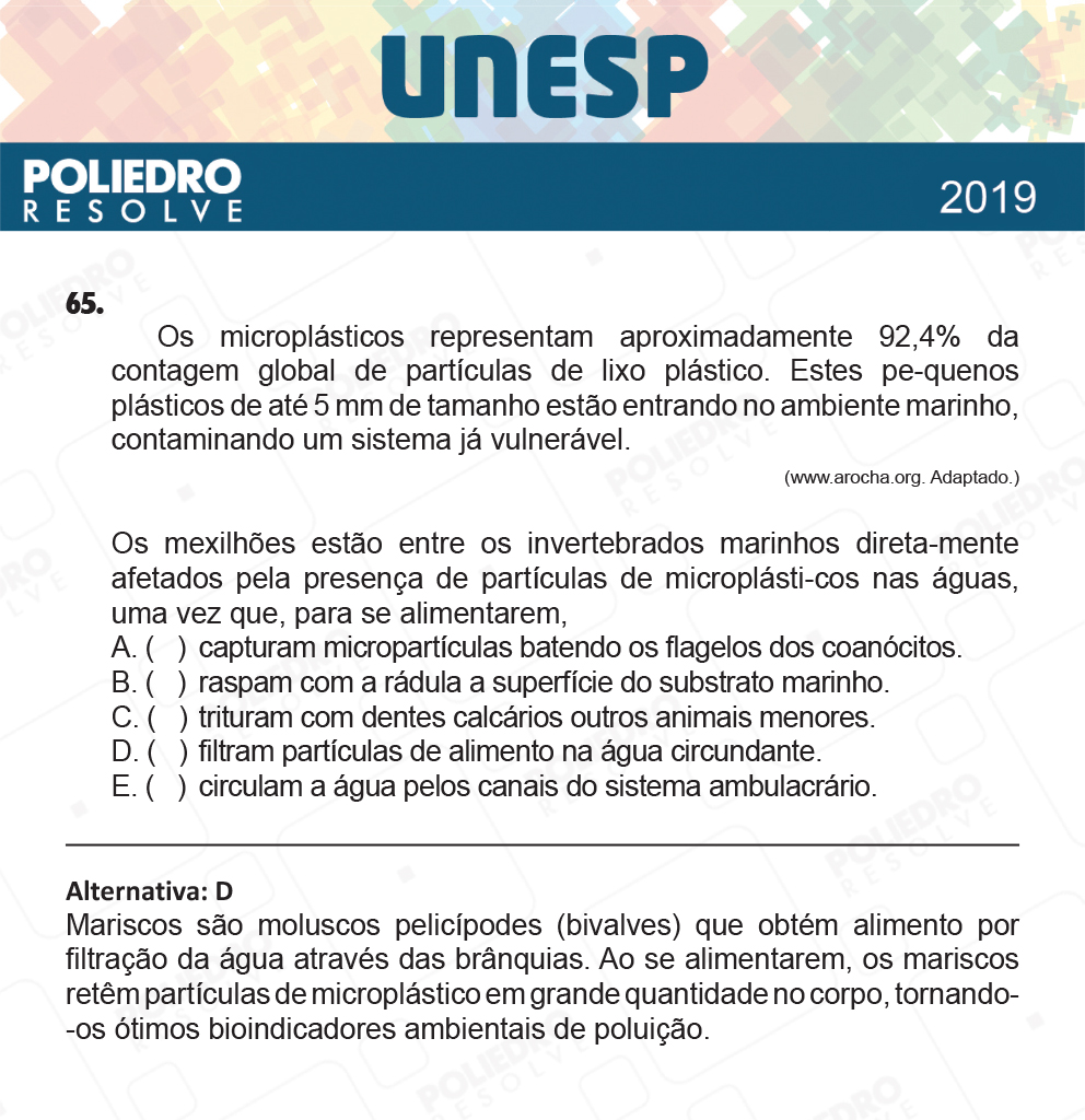 Questão 65 - 1ª Fase - UNESP 2019