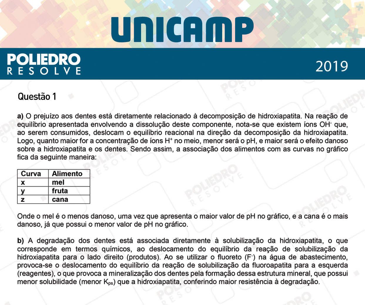 Dissertação 1 - 2ª Fase - 3º Dia - UNICAMP 2019