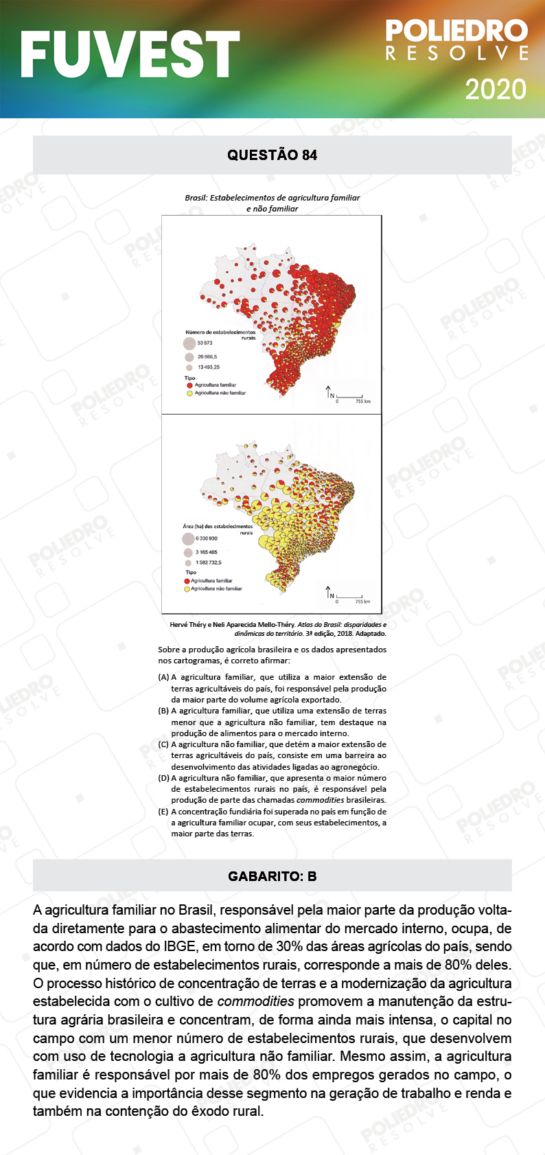 Questão 84 - 1ª Fase - Prova V - FUVEST 2020