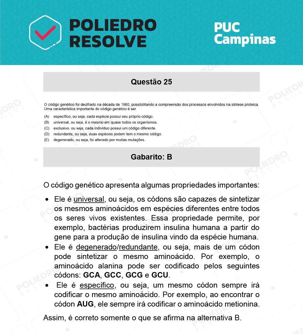 Questão 25 - Direito - PUC-Campinas 2022