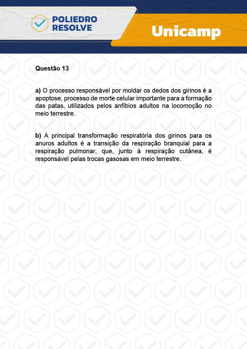 Dissertação 13 - 2ª Fase - 2º Dia - UNICAMP 2024