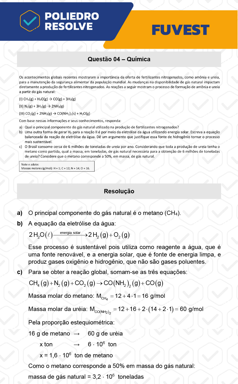 Dissertação 4 - 2ª Fase - 2º Dia - FUVEST 2023