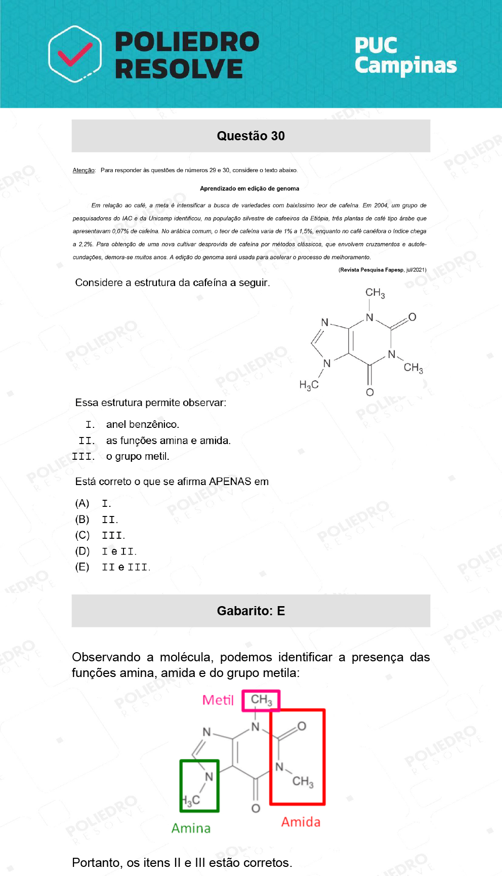 Questão 30 - Direito - PUC-Campinas 2022