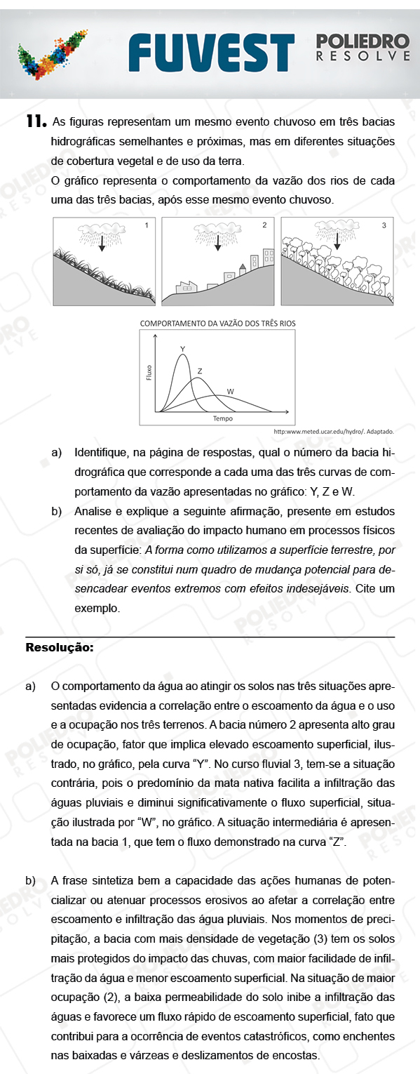 Dissertação 11 - 2ª Fase - 2º Dia - FUVEST 2018