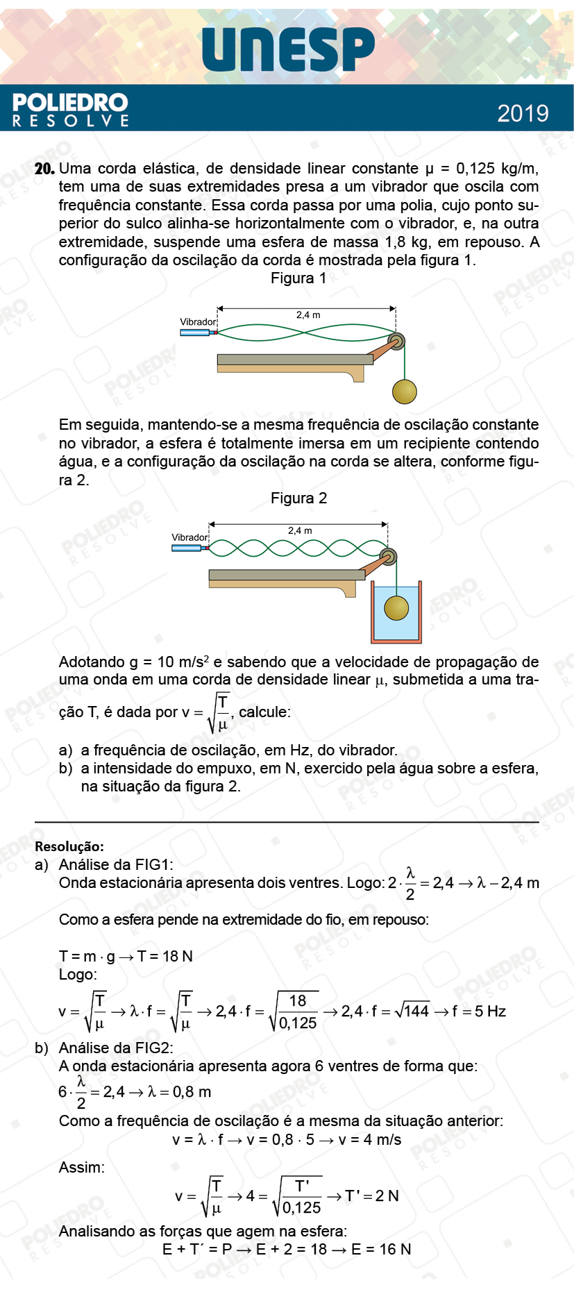 Dissertação 20 - 2ª Fase - 1º Dia - UNESP 2019