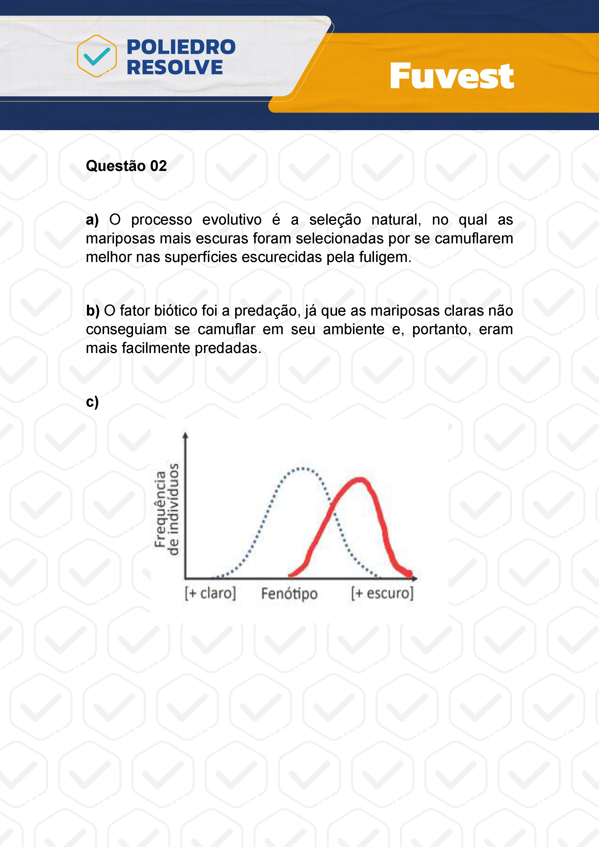 Dissertação 2 - 2ª Fase - 2º Dia - FUVEST 2024