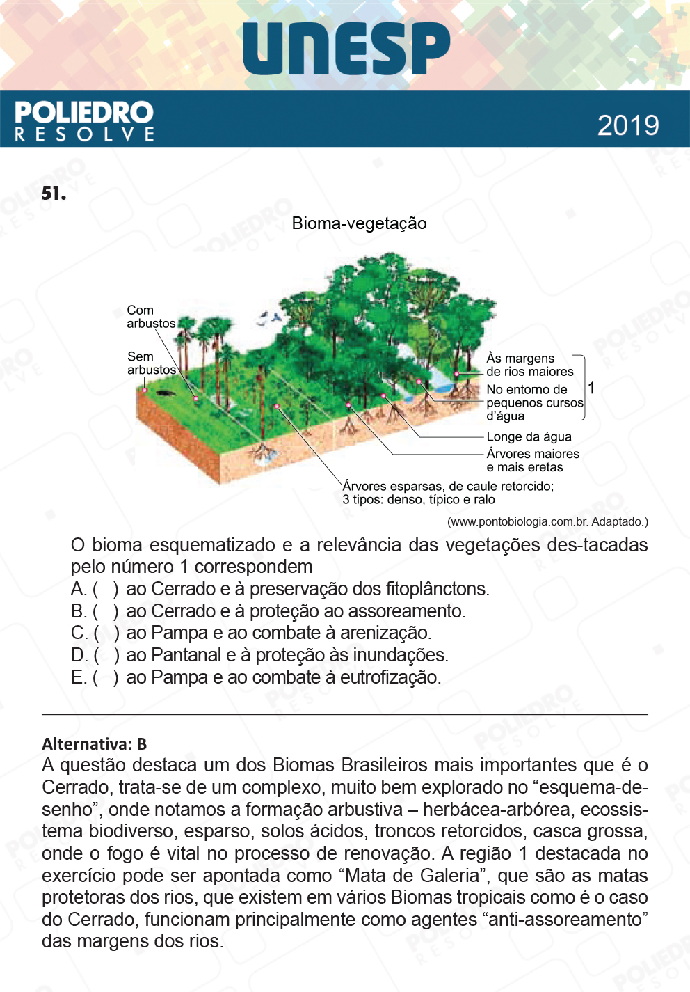 Questão 51 - 1ª Fase - UNESP 2019