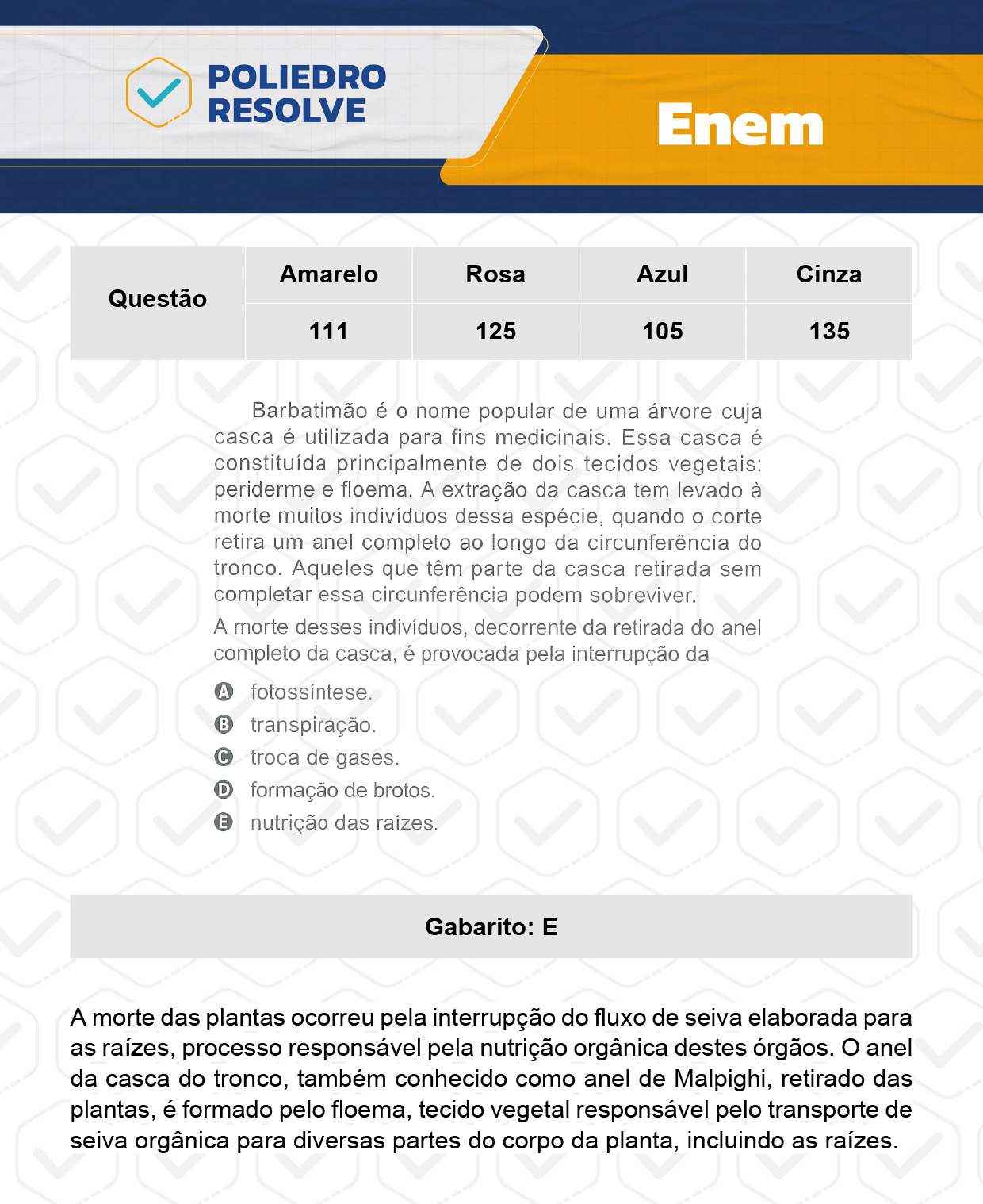 Questão 21 - Dia  2 - Prova Amarela - Enem 2023