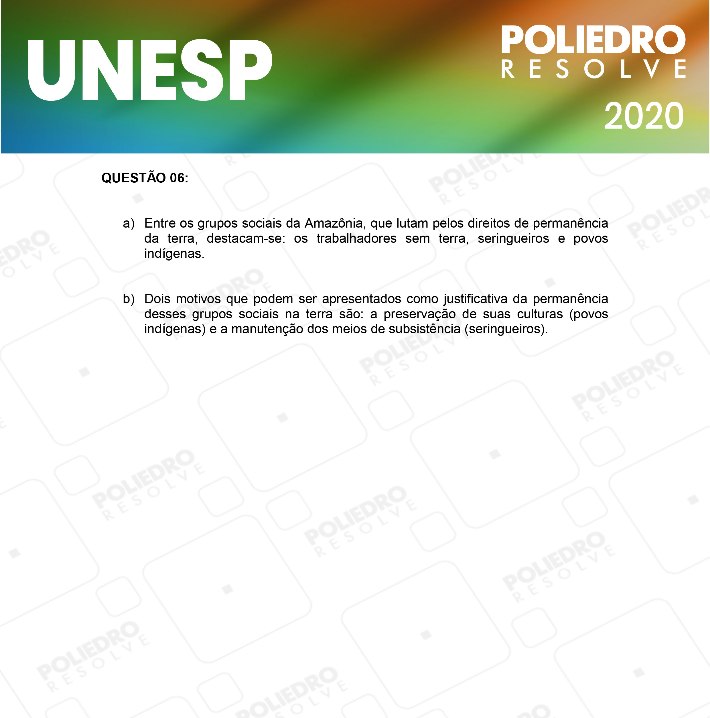 Dissertação 6 - 2ª Fase - 1º Dia - UNESP 2020