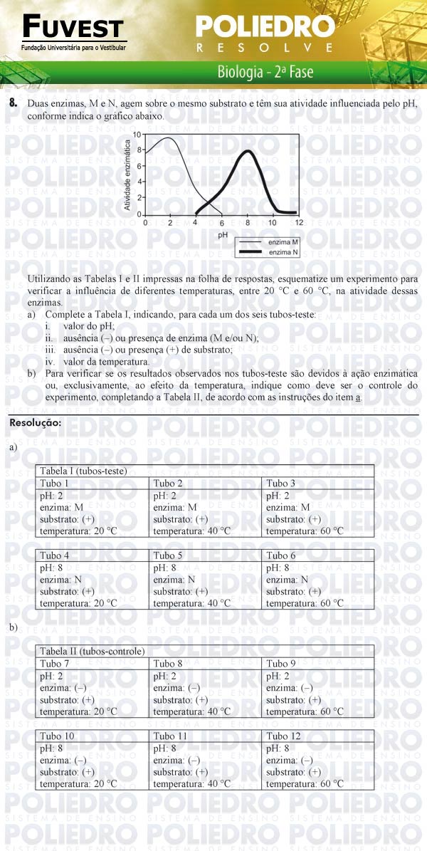 Dissertação 8 - 2ª Fase - 2º Dia - FUVEST 2011