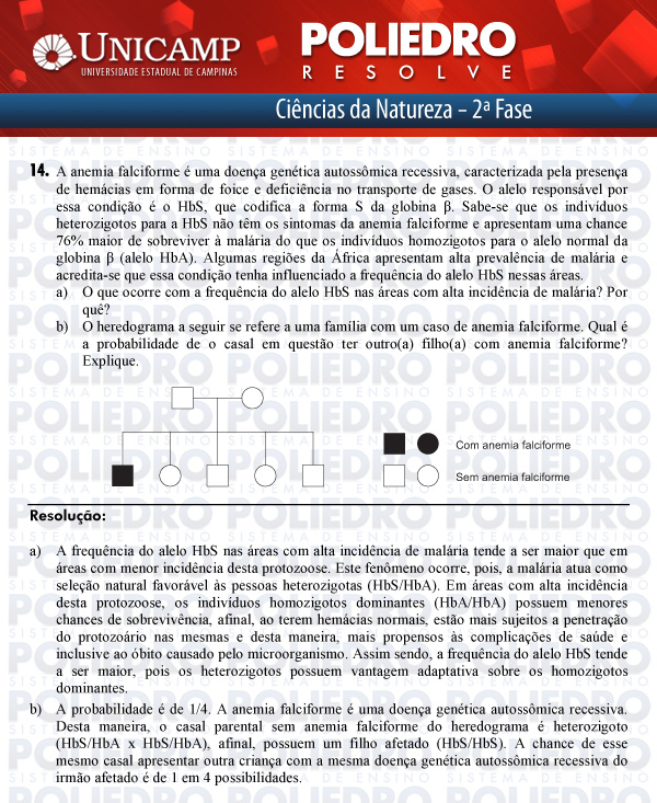 Dissertação 14 - 2ª Fase - UNICAMP 2012