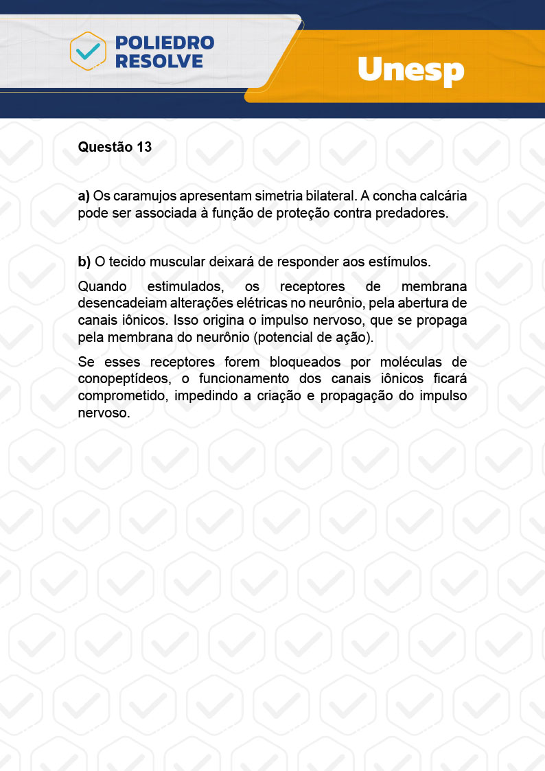 Dissertação 13 - 2ª Fase - 1º Dia - UNESP 2024