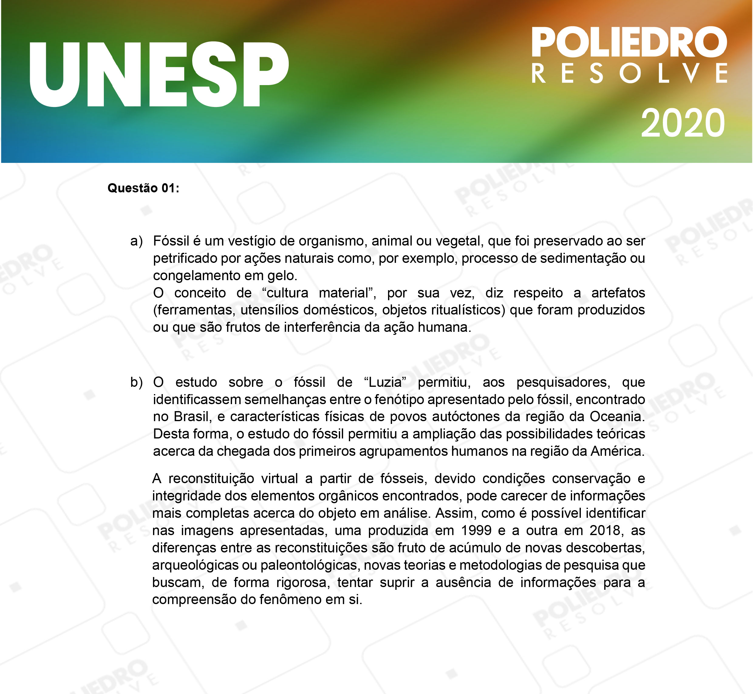 Dissertação 1 - 2ª Fase - 1º Dia - UNESP 2020