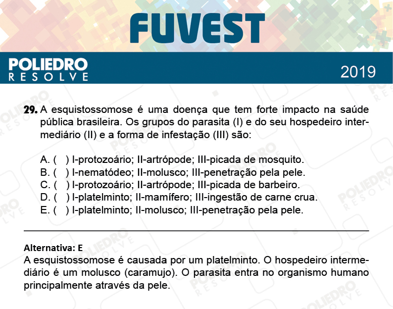 Questão 29 - 1ª Fase - Prova V - FUVEST 2019