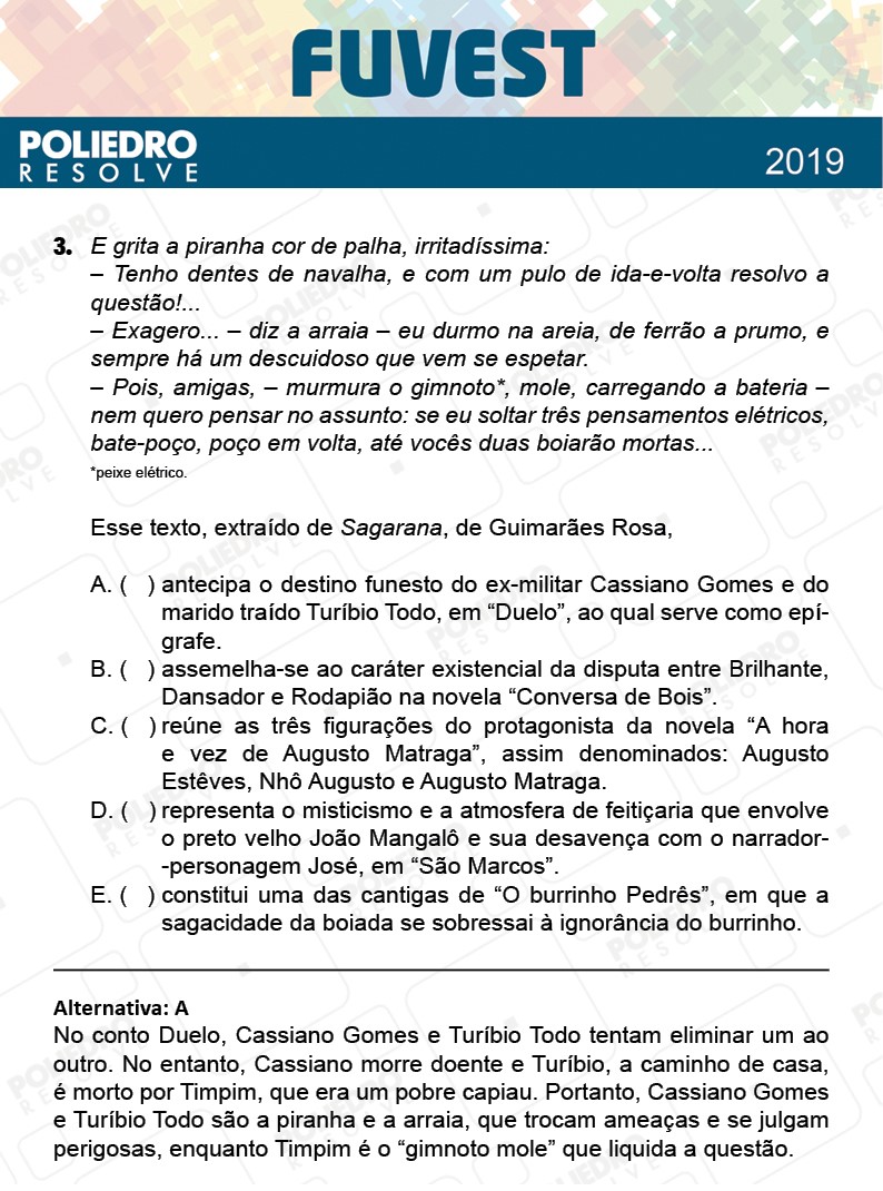 Questão 3 - 1ª Fase - Prova X - FUVEST 2019