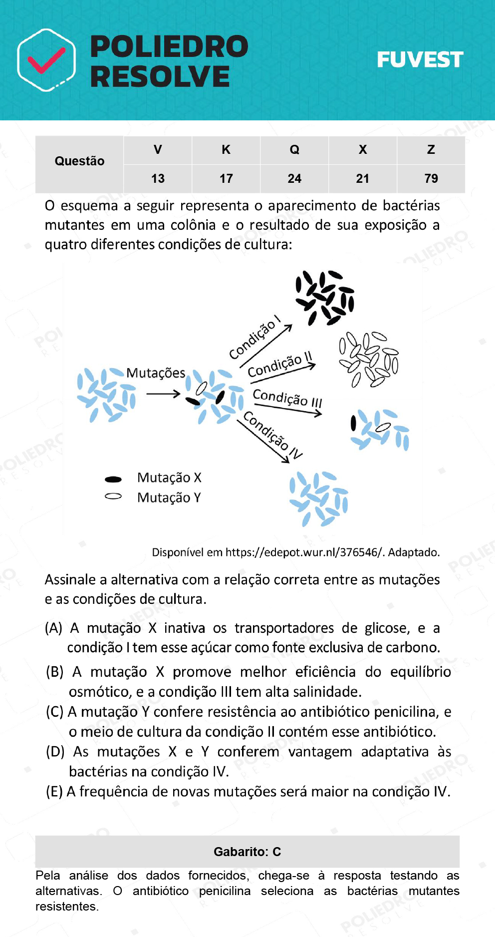 Questão 21 - 1ª Fase - Prova X - 12/12/21 - FUVEST 2022