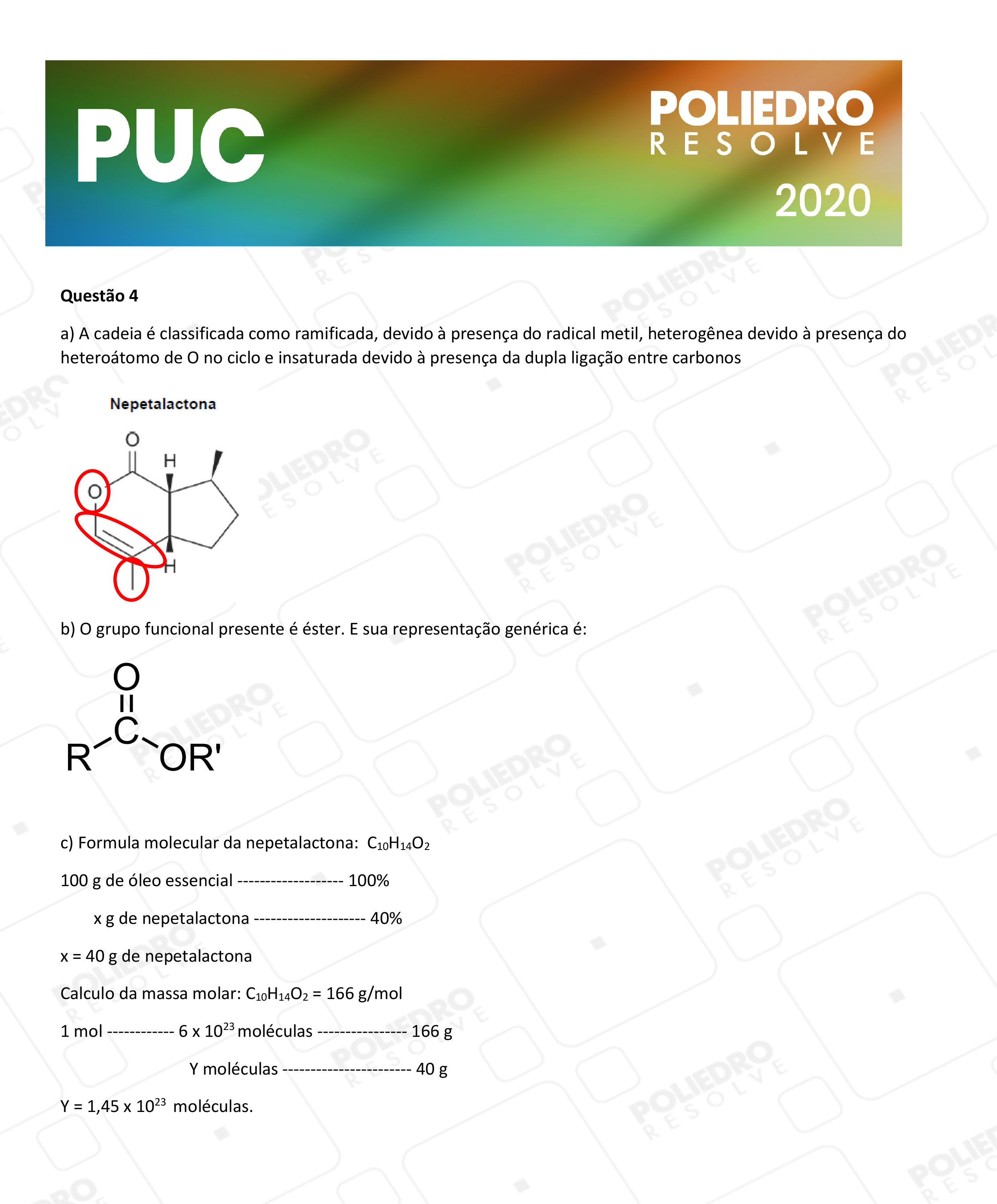 Dissertação 4 - 2ª Fase - PUC-Campinas 2020