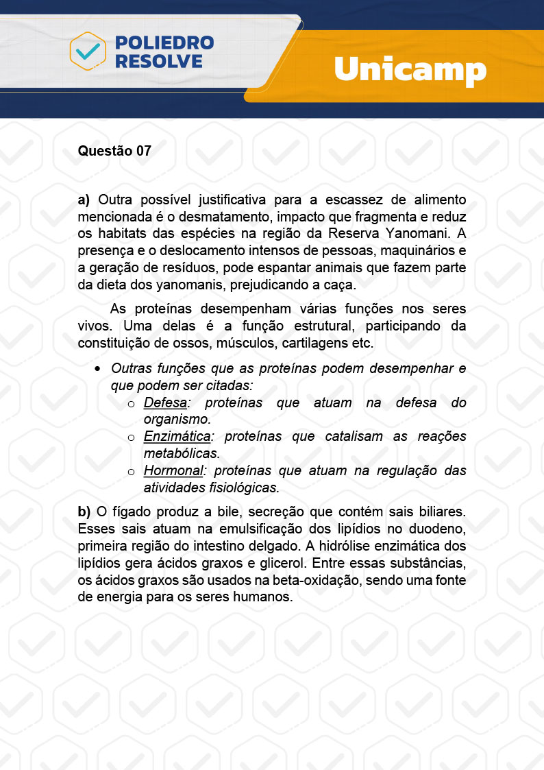 Dissertação 7 - 2ª Fase - 2º Dia - UNICAMP 2024