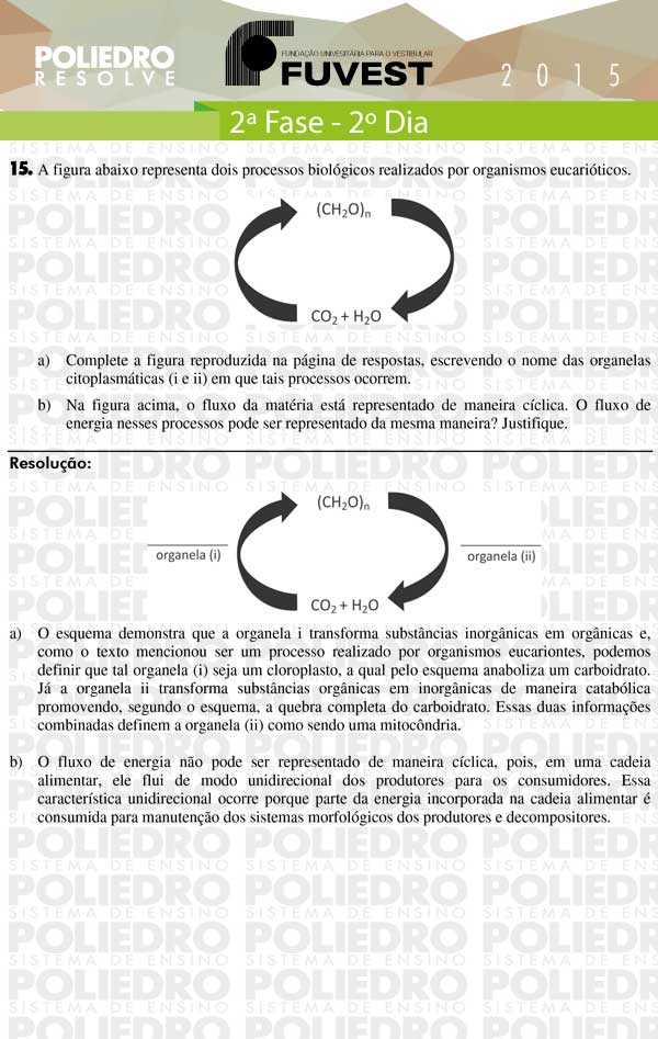 Dissertação 15 - 2ª Fase 2º Dia - FUVEST 2015