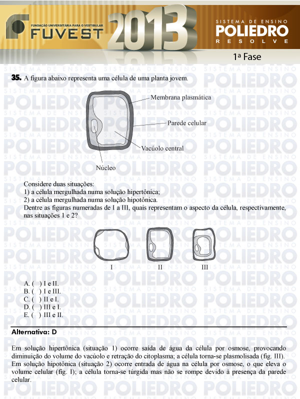 Questão 35 - 1ª Fase - FUVEST 2013