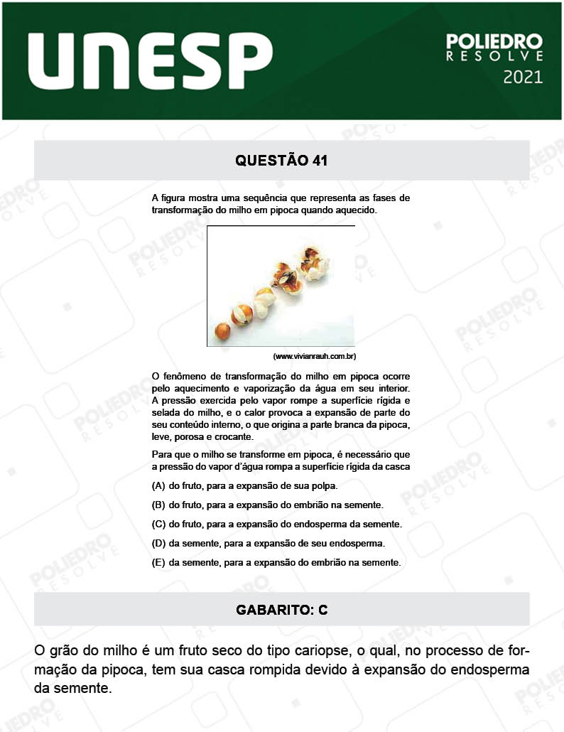 Questão 41 - 2ª Fase - UNESP 2021