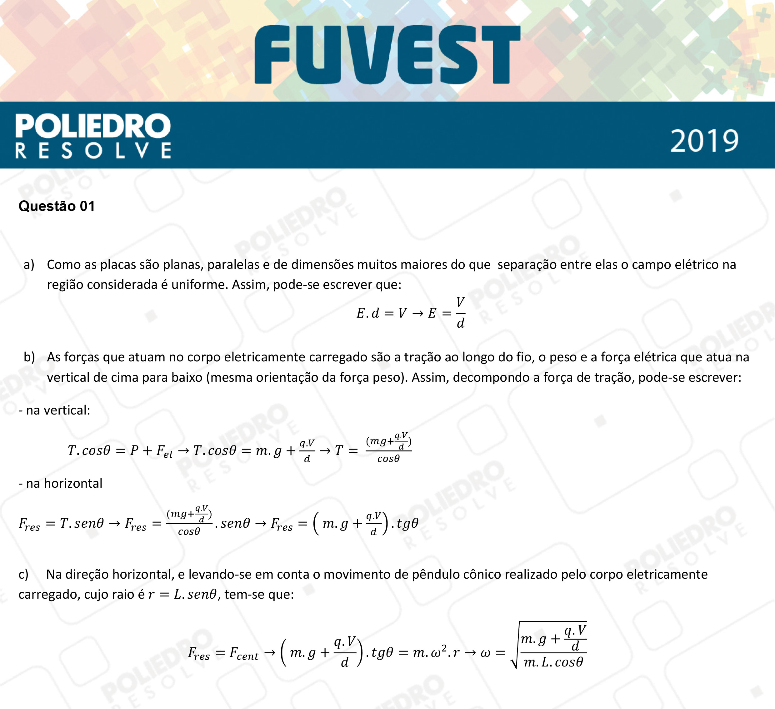 Dissertação 1 - 2ª Fase - 2º Dia - FUVEST 2019