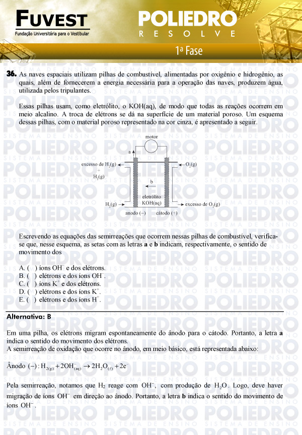Questão 36 - 1ª Fase - FUVEST 2011