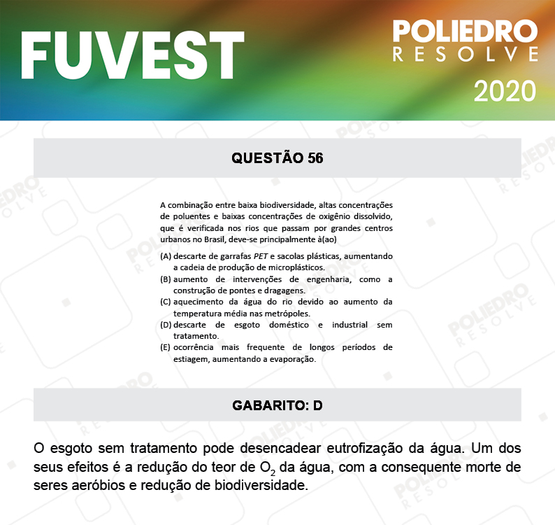 Questão 56 - 1ª Fase - Prova V - FUVEST 2020