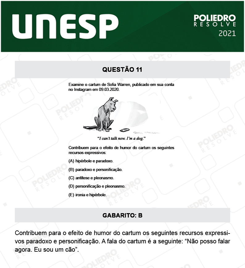 Questão 11 - 1ª Fase - 2º Dia - UNESP 2021