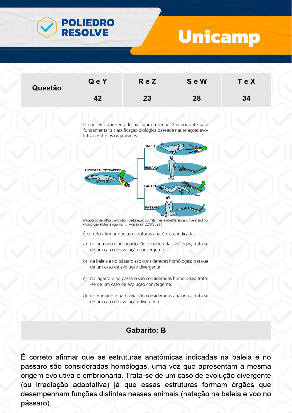 Questão 42 - 1ª Fase - 1º Dia - Q e Y - UNICAMP 2024