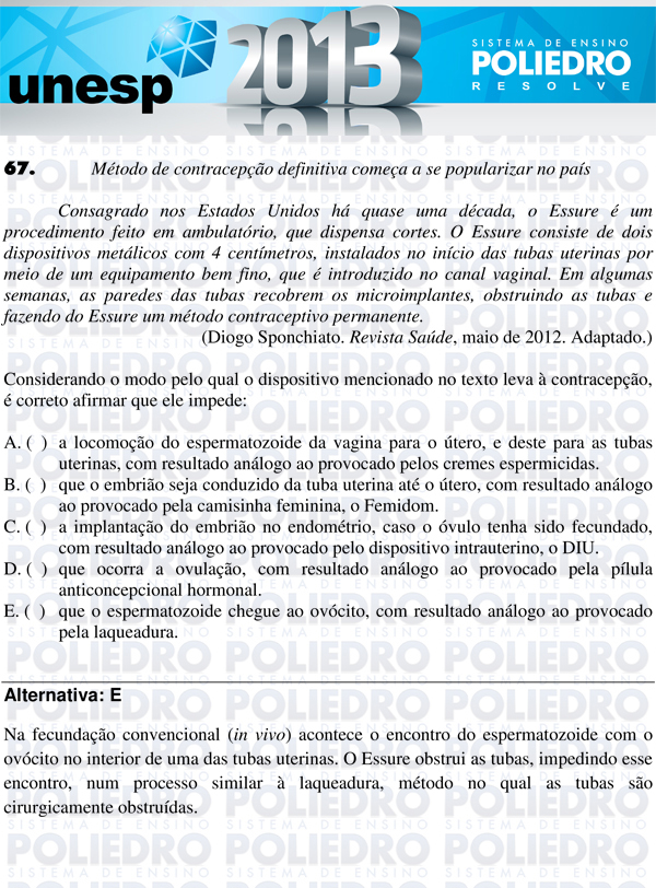 Questão 67 - 1ª Fase - UNESP 2013