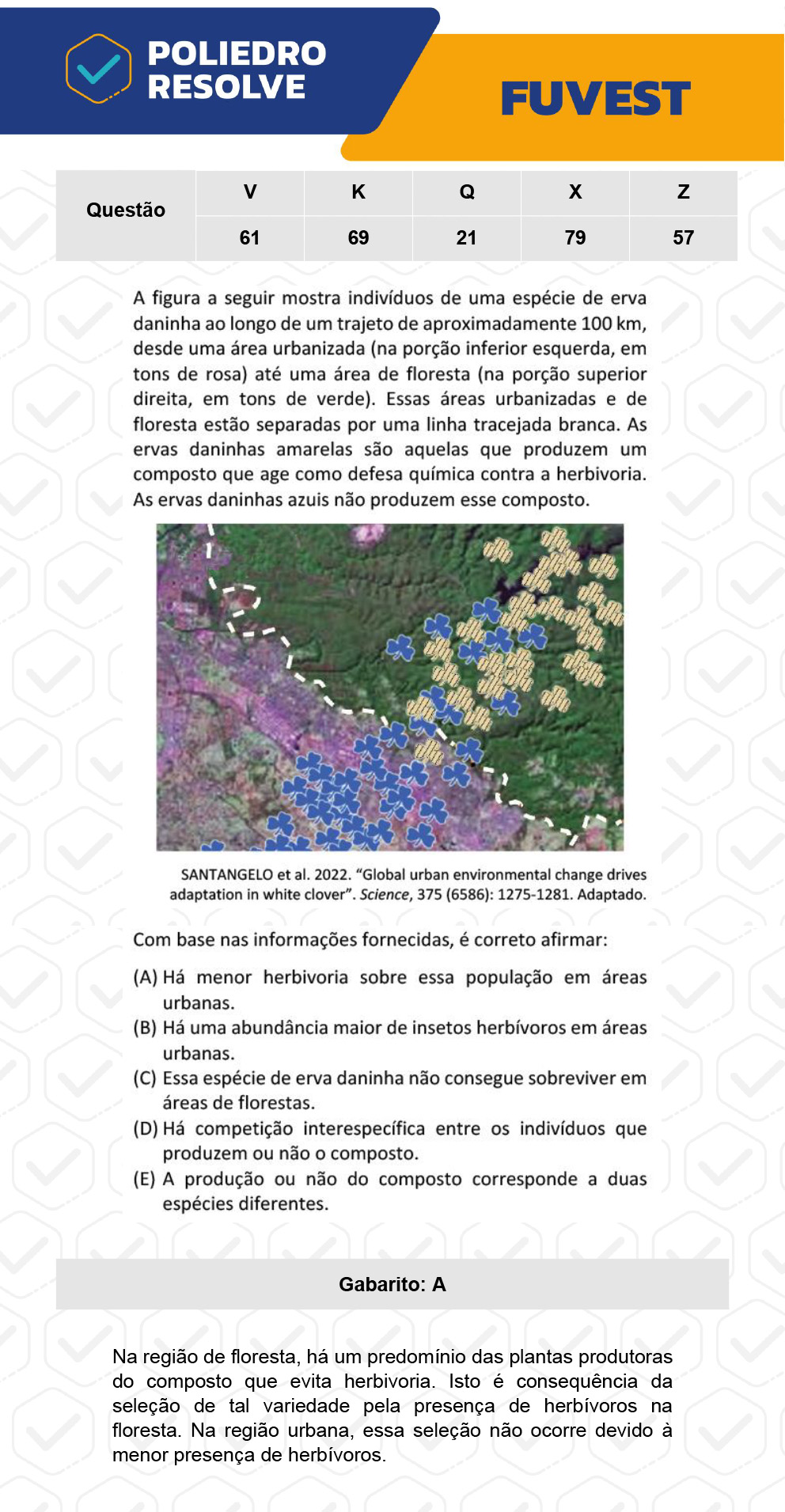 Questão 69 - 1ª Fase - Prova K - FUVEST 2023