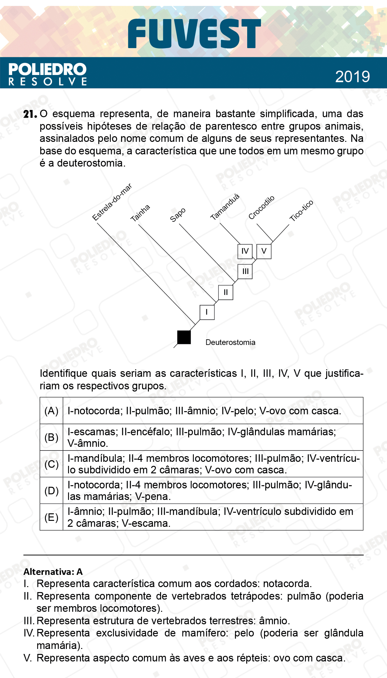 Questão 21 - 1ª Fase - Prova X - FUVEST 2019