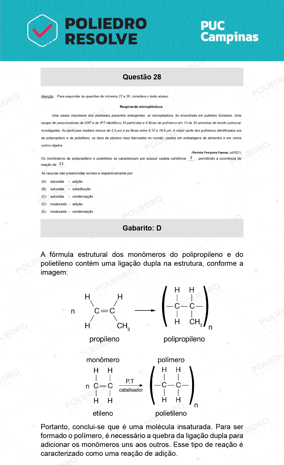 Questão 28 - Direito - PUC-Campinas 2022